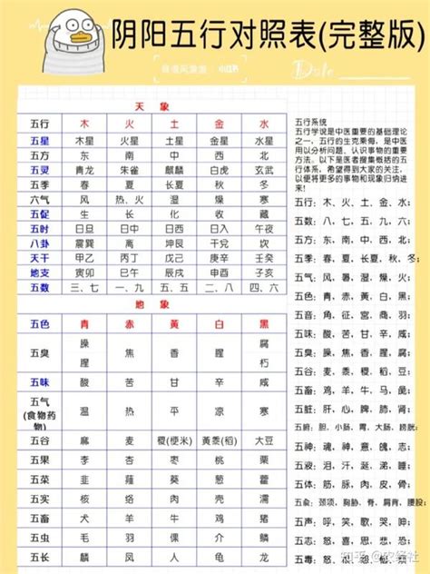 数字五行表|数字五行属性对照表